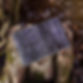 Photoroom_20240701_072645.JPG